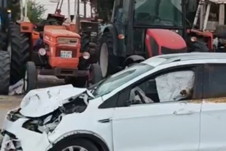 Muş'ta yola çıkan ineğe otomobil çarptı 