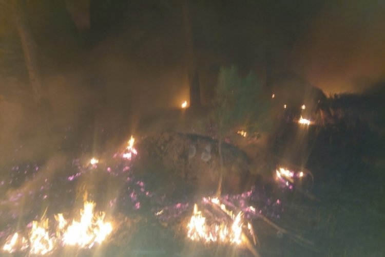 Gece saatlerinde bir yangın daha! Ekipler olay yerine sevk edildi...