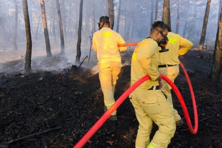 Bolu'da küle dönen 20 hektar ormanda, soğutma çalışması sürüyor