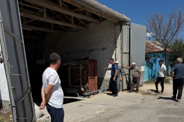 Arpaları araçtan indirmek isterken kırma makinesine düştü! 