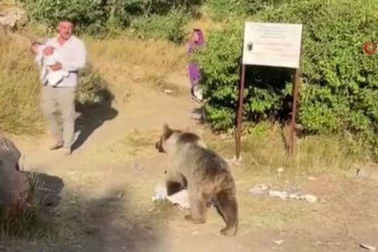 Korkunç olay! Kucağında bebeğiyle yürürken ayı saldırdı