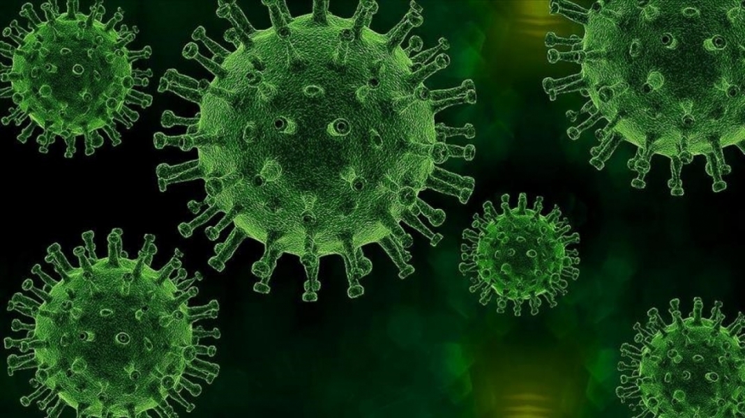 ABD'de bir kişinin veba testi pozitif çıktı