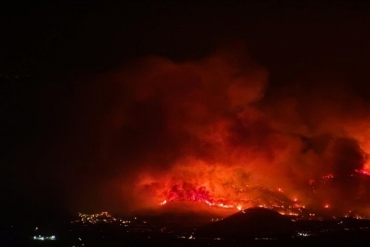 Gürsu'nun yanan ciğerleri yeniden hayat bulacak 