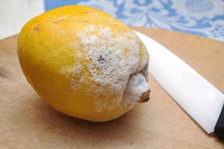 Meyvenin küflü kısmını kesip yemek güvenli mi?
