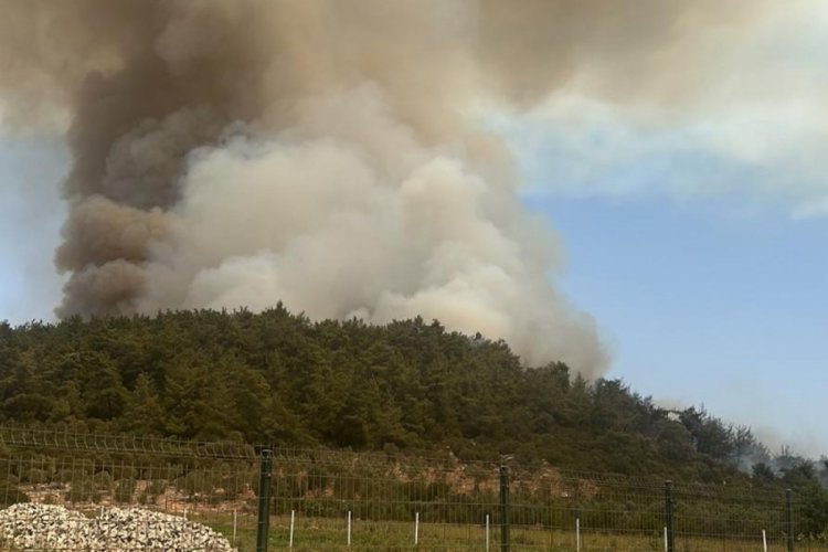 İzmir Menderes'te kaynak makinesi, orman yangınına neden oldu