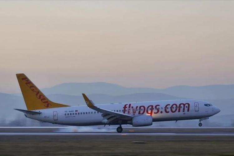 Pegasus'a 8 ödül birden