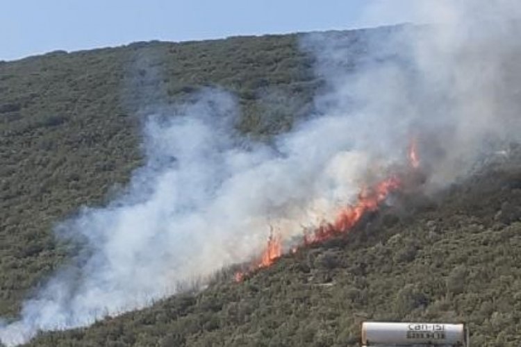 Bursa'da orman yangını! Çok sayıda ekip sevk edildi...
