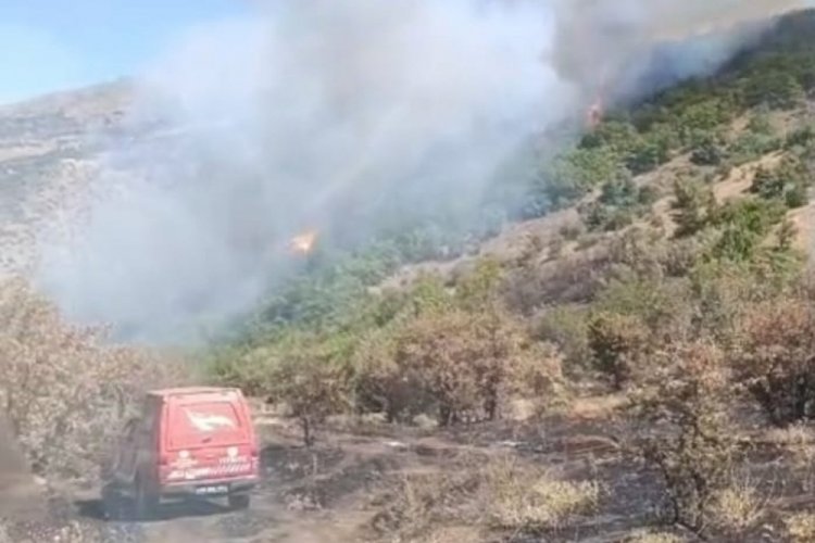Malatya'daki orman yangını söndürüldü
