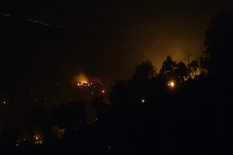 Diyarbakır'da ormanlık alanda çıkan yangın söndürüldü