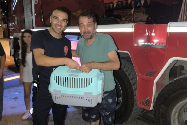Balkon demirlerine sıkışan kediyi itfaiye kurtardı