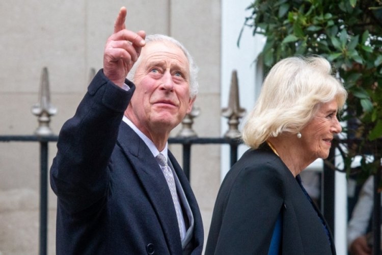 Kral Charles ile Kraliçe Camilla'nın evini arılar bastı