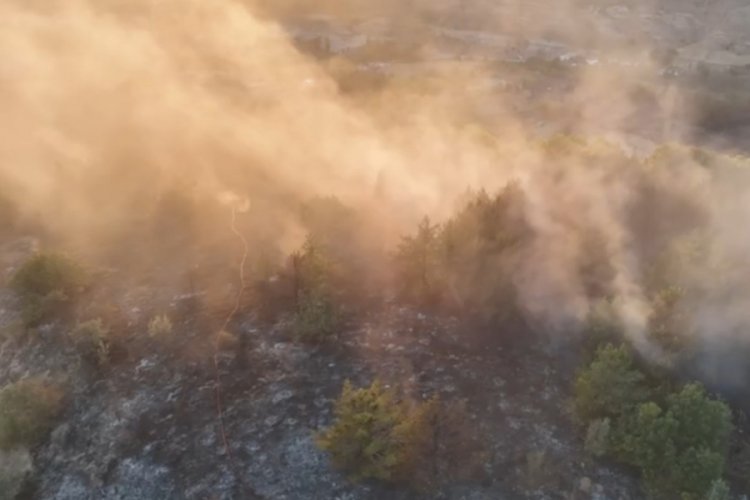 Ordu'da ormanlık alanda çıkan yangın söndürüldü