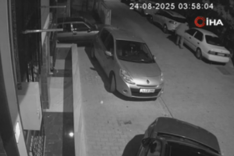 Sokak sokak gezdi, park halindeki araçlara zarar verdi