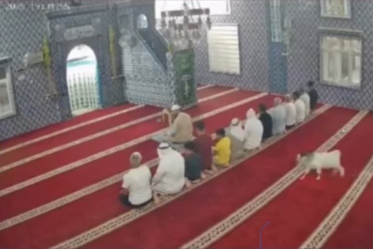 Camiye giren oğlak güvenlik kamerasına yansıdı