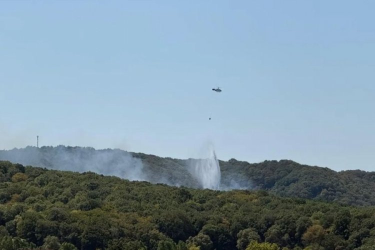 İstanbul'da orman yangını