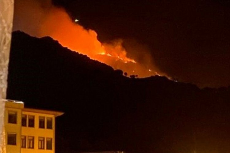 Marmara Adası'nda geceyi alevler sardı