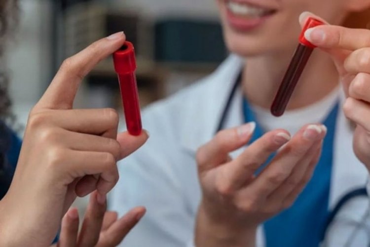 Hangi kan grubu daha uzun yaşıyor?