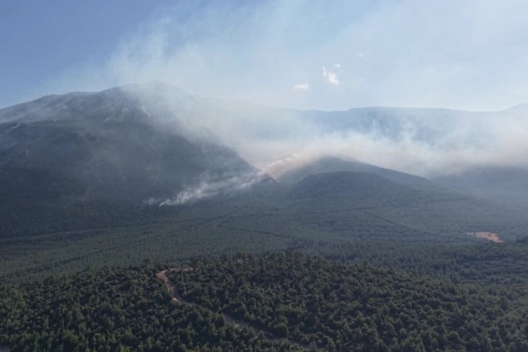 Denizli'deki yangın bölgesinde soğutma çalışmaları devam ediyor