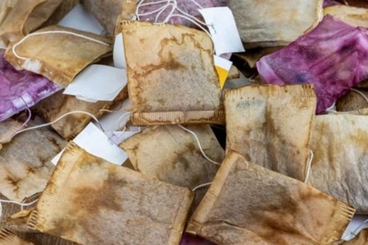 Çay poşetinin kullanım alanları şaşırttı!