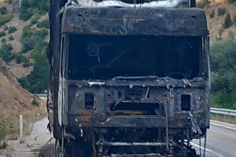 Seyir halindeki çekici alevlere teslim oldu 