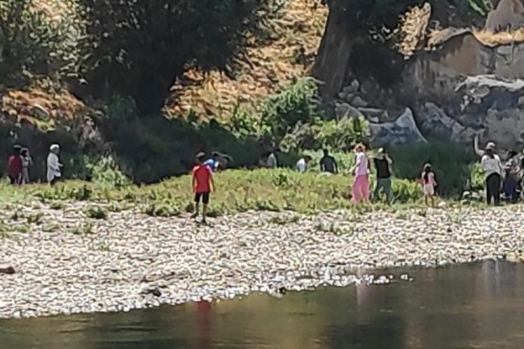 Kuzenini boğulmaktan kurtardı ancak kendisi kurtulamadı! 22 yaşındaki gençten acı haber...