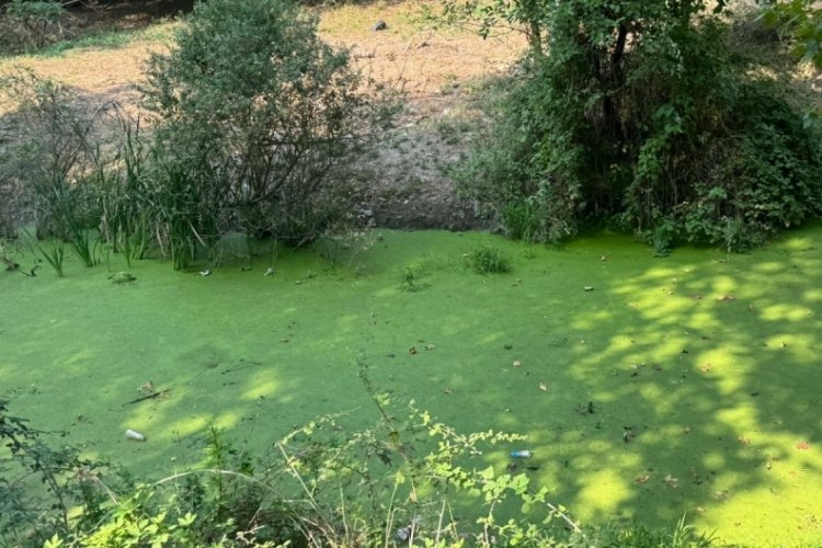 Bursa için en kötü senaryo! Can çekişiyor
