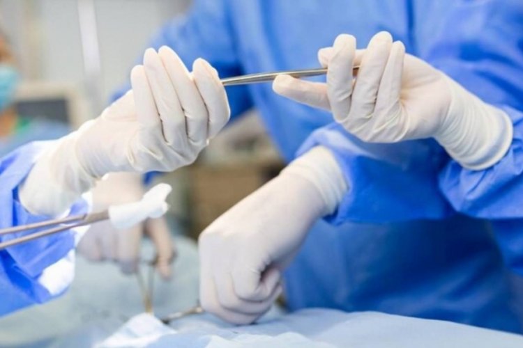Dünyada bir ilk: Domuzdan insana akciğer nakli