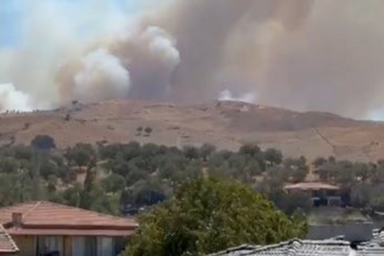 İzmir'de orman yangını: Ekipler bölgede 
