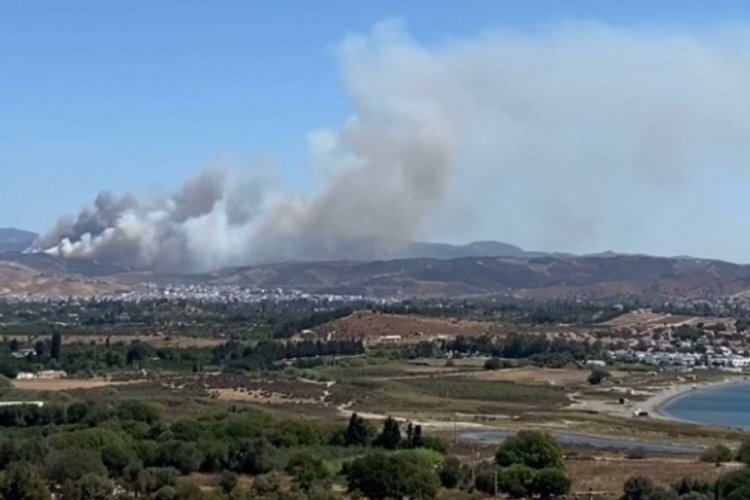 İzmir'de orman yangını