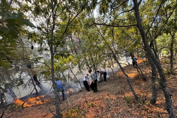Adana'da orman yangını! Ekipler havadan ve karadan müdahale ediyor