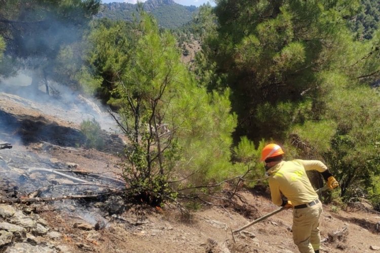 Adana Feke'deki orman yangını kontrol altına alındı