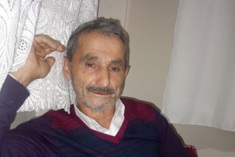 Üzerine ağaç devrilen adam hayatını kaybetti