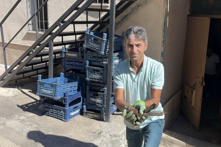 Bahçede bulduğu yavru şahinle kurduğu bağ gönülleri ısıttı