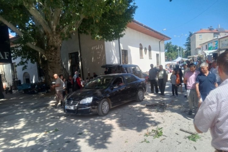 Asırlık çınarın dalı otomobilin üzerine düştü