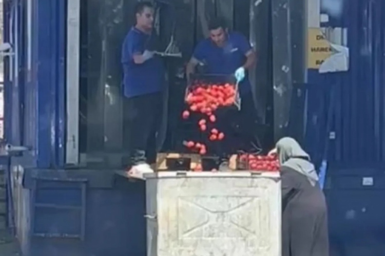 Kasalarca domates çöpe dökülmüştü... Ticaret Bakanı'ndan açıklama geldi