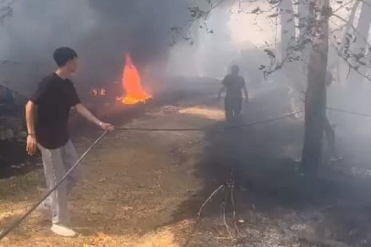 Bursa'da ağaçlık alan alev alev yandı!