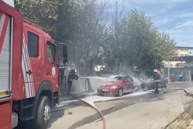 Park halindeki iki otomobil alev alev yandı