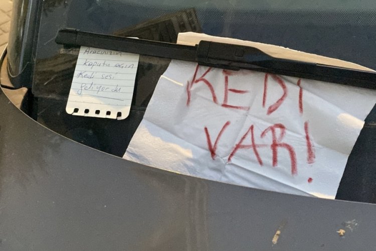 Otomobilin kaputunda mahsur kalan kediyi kurtarmak için mahalleli seferber oldu
