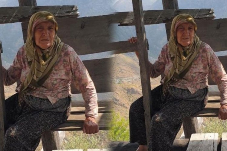 Alzheimer hastası Naciye Akdağ'dan 2 gündür haber yok! Ekipler harekete geçti