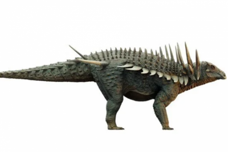 Dünyanın en eski zırhlı dinozoru keşfedildi