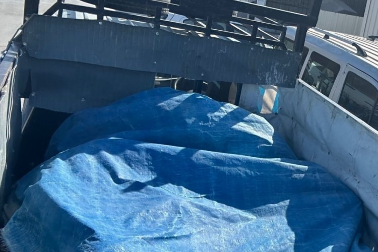 Pikap kasasında tente altında taşınan göçmenler yakalandı