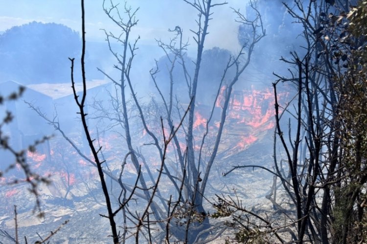Erdek'te çıkan orman yangını kontrol altına alındı