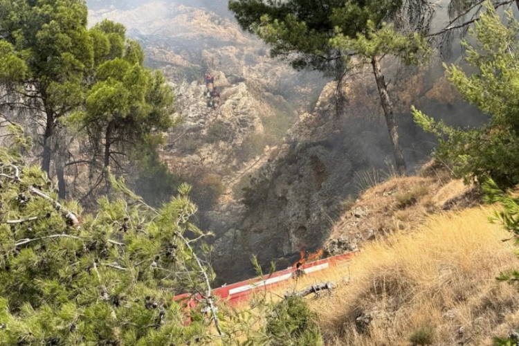 Hatay'da orman yangını!