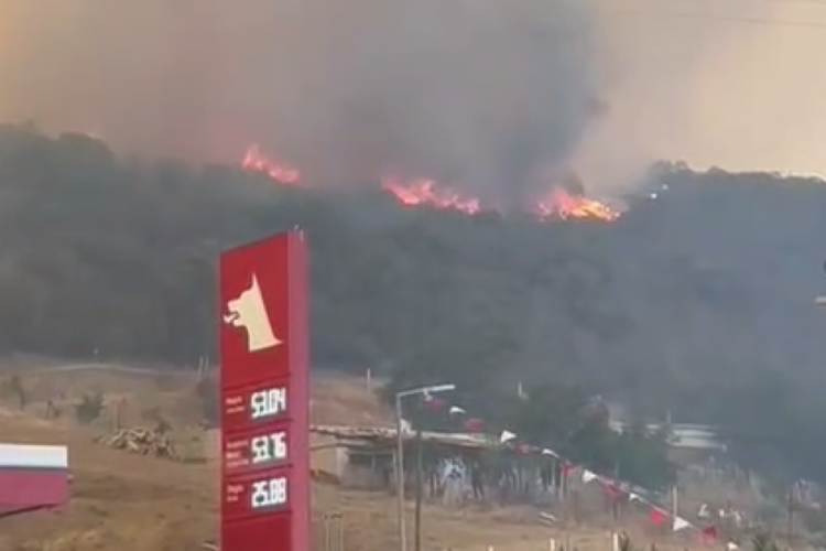 Bursa'daki dev yangında büyük tehlike! Eğer sıçrarsa felaket olur...