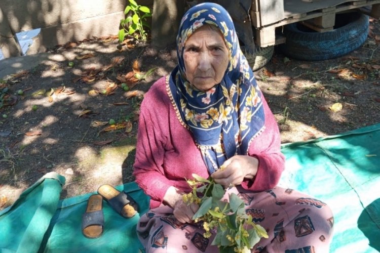 81 yaşındaki kadın her yerde aranıyor