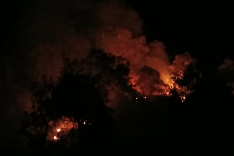 Denizli'deki orman yangını büyük ölçüde kontrol altına alındı
