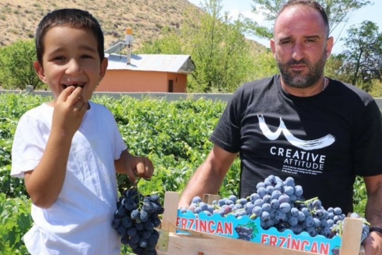 Tarlada 110, markette 200 lira! Fiyatı üreticinin yüzünü güldürdü