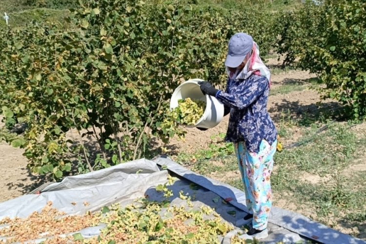 Bursa'da üretimde yarı yarıya düşüş bekleniyor!