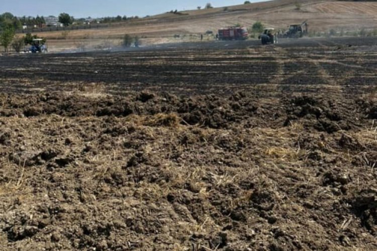 20 dönümlük alan anız yangınında kül oldu