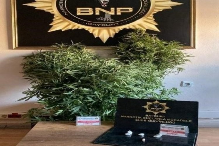 Bayburt'ta birçok adrese eş zamanlı narkotik operasyonu yapıldı